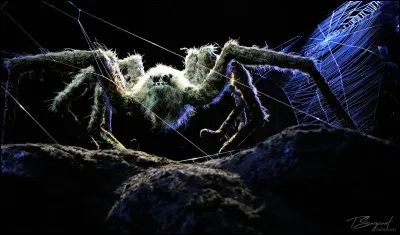 Quelle est ta plus grande phobie ?