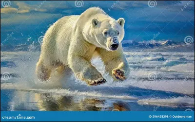 Quelle est la vitesse maximale d'un ours polaire ?
