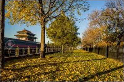 Qui a écrit le roman "L'Automne à Pékin" ?