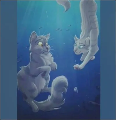 Livre 2 : Comment s'appelle la féline du Clan de la Rivière dont Plume Grise tombe amoureux ?