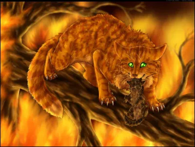 Livre 4 : Qui meurt dans l'incendie sur le territoire du Clan du Tonnerre ?