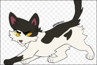 Livre 5 : Quels apprentis décident d'aller affronter la Meute pour prouver qu'ils peuvent devenir guerriers ?