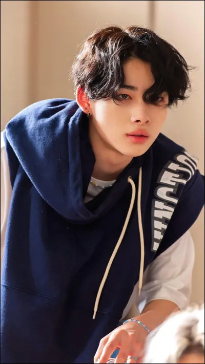 Quelle est la date de naissance de Ni-ki ?