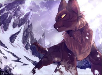 Tu deviens guerrier sous le nom de... 
Que fais-tu en premier après la veillée ?