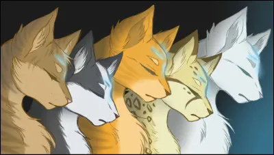 Ton chef meurt et c'est donc à ton tour de devenir chef ; que fais-tu en premier après être allé à la Pierre de Lune ?