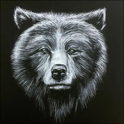 Et pour finir, es tu :