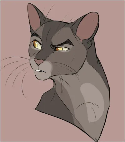 Mon dernier chaton se nomme Pelage de Brume Je suis :