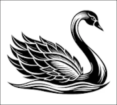Qui fait partie du ''Cygne noir'' ?