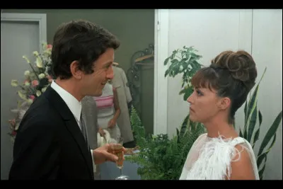 "La Mariée était en noir" est un film joué par Jeanne Moreau.