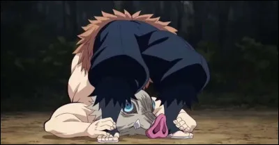 À quoi ressemble son visage sous sa hure ?