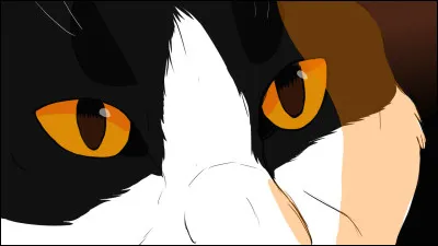 Quel chat a manipulé les clans grâce à une prophétie ?