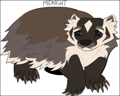 Un blaireau attaque le camp, quelle est ta réaction ?