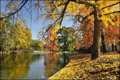 As-tu souvent besoin de te retirer dans un endroit calme pour te ressourcer ?