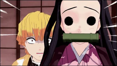 Sais-tu ce qu'est un scolopendre ?