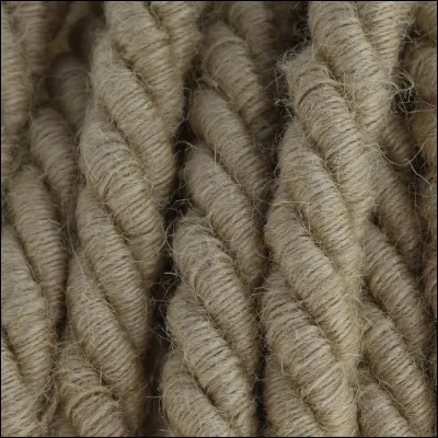 Sautons le tir à la corde, car nous savons comment cela va se finir.