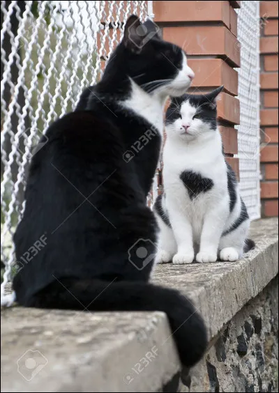 Quel nom d'apprenti préfères-tu ?