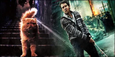 Quel est ton animal préféré ?