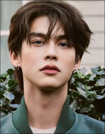 Vachirawit Chivaaree est un acteur connu en Thaïlande, dans quel film ou dans quelle série n'a-t-il pas joué ?