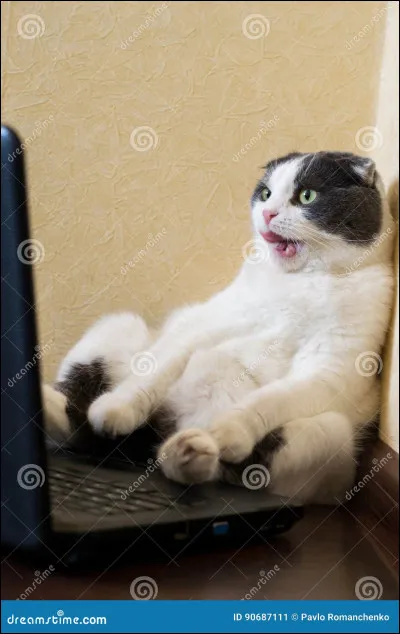 Quelles boucles d'oreille porterais-tu ?