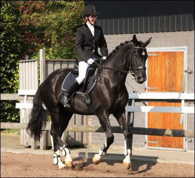 Quelle discipline aimez-vous ?