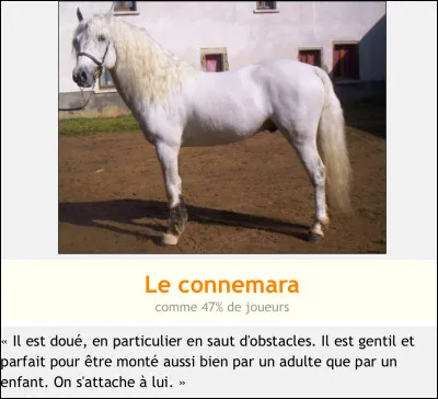 À quoi pensez-vous avec votre cheval ?