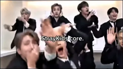 Quel est le nom de leur fandom ?