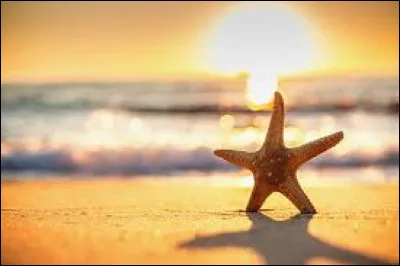 Qui chantait : "Plus d'un million d'années, et toujours en été" ?