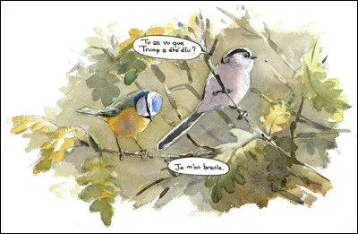 Ces oiseaux dans nos jardins sont porteurs de messages.