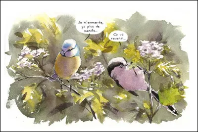 Chantons avec les mésanges !