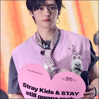 Quel est lâge de Lee Know ? (février 2025)