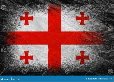 En quelle année la Géorgie a-t-elle adopté ce drapeau ?