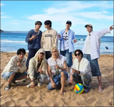 Bien, passons &agrave; l'&eacute;pisode dans lequel certains des membres se sont baign&eacute;s dans la mer. Qui sont ces membres ?