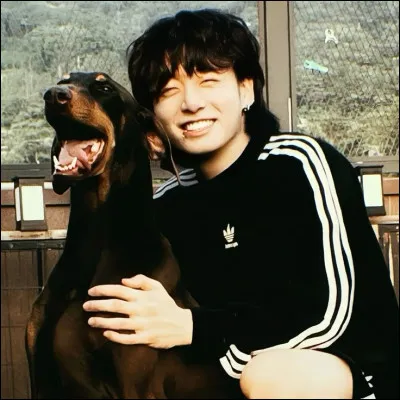 Comment s'appelle son chien ?