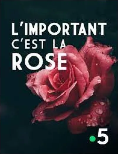 Pour qui la rose est-elle l'important, dans une de ses chansons ?