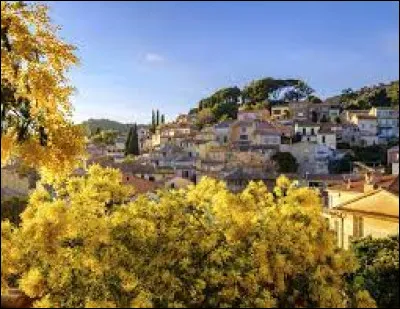 Où se trouve la ville de Bormes-les-Mimosas ?