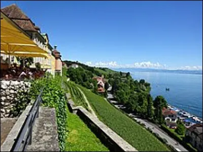 Qui faut-il tuer, pour Ray Bradbury, en 2003 ?