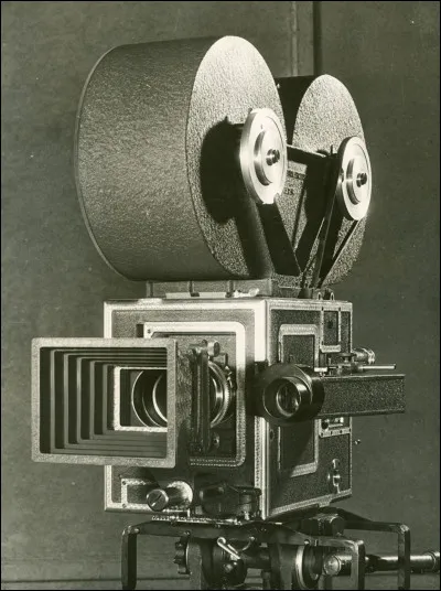 Si tu devais jouer dans un film de mythologie grecque et que tu pouvais choisir ton rôle, quelle sorte de rôle jouerais-tu ? (1)