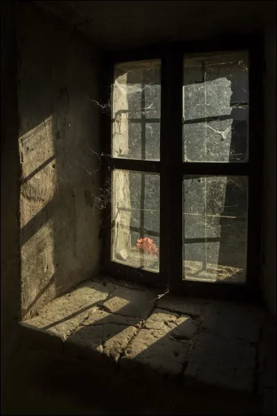 Tu te réveilles dans un endroit inconnu sans te souvenir comment tu es arrivé(e) là. Quelle est ta première réaction ?