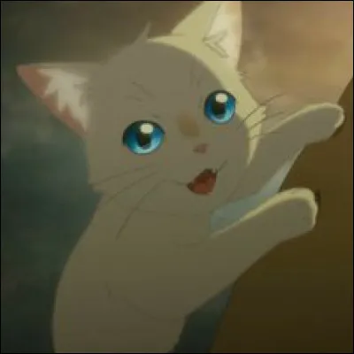 De qui est-elle amoureuse ?