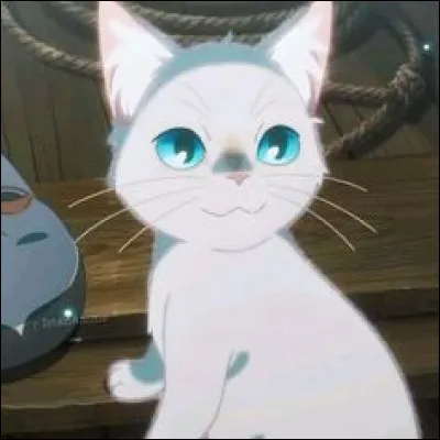 Muge finit-elle par dire à Kento qu'elle l'aime ?