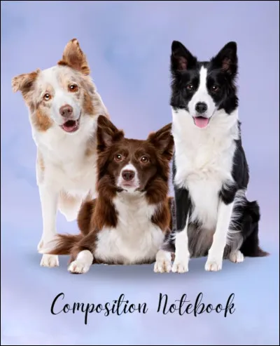 Quelles sont les couleurs de robes acceptées chez le border ?