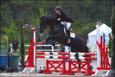 La photo est un frison qui saute.
Question : Les appaloosa non tachés sont nommés "solid color"