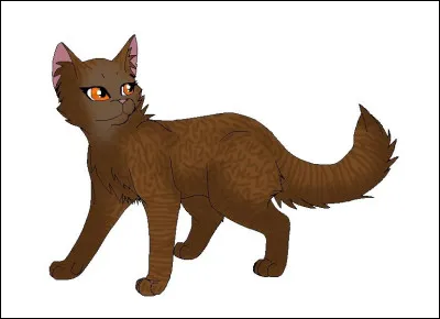 Vous faites votre baptême d'apprentis, tu aimerais trop Aile Brulée pour mentor mais c'est ton frère qui l'a, quelle est ta réaction ?