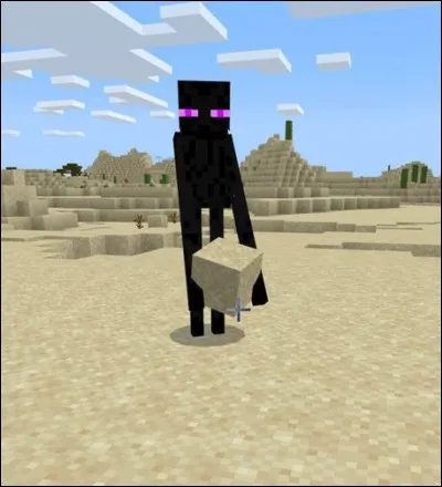 L'Enderman sait-il prendre des blocs dans ses mains ?