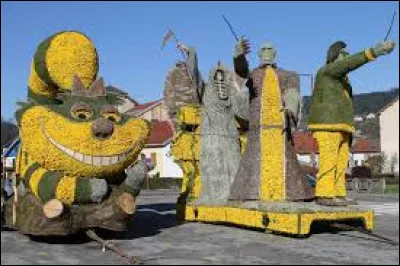 Dans quelle ville du Grand-Est a lieu tout les deux ans la fête des jonquilles ?