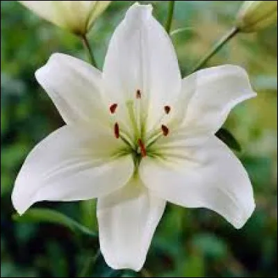 En 1836, quel écrivain a publié le roman ''Le Lys dans la vallée'' ?