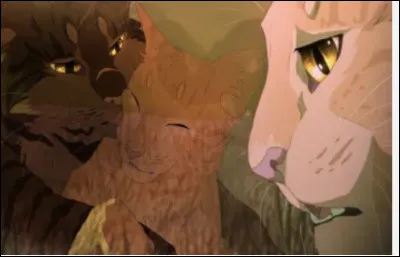 Quelle vie veux-tu avoir ?