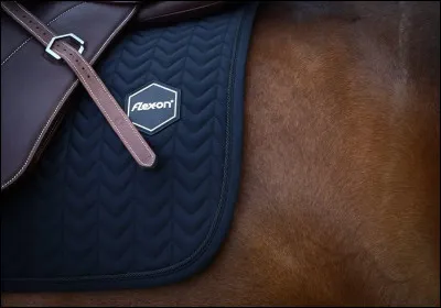 Cette marque est surtout connue pour ses stickers. Comment s�appelle-t-elle ?