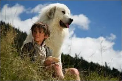 Qui a réalisé le film "Belle et Sébastien" sorti en 2013 ?