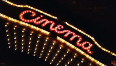 Quel acteur français tient le rôle principal du film "Je vous trouve très beau" ?